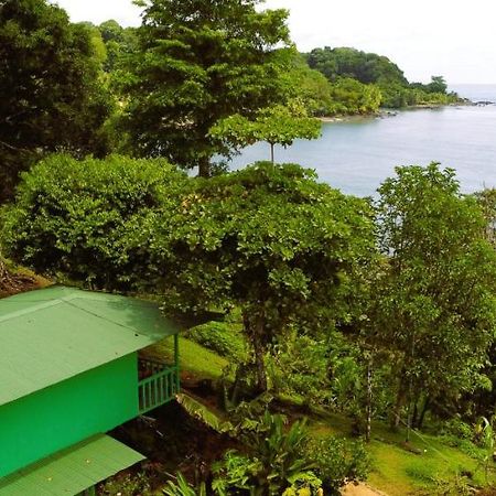 Cabana Ara Macao Lodge Drakes Bay Buitenkant foto