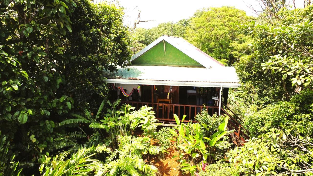 Cabana Ara Macao Lodge Drakes Bay Buitenkant foto
