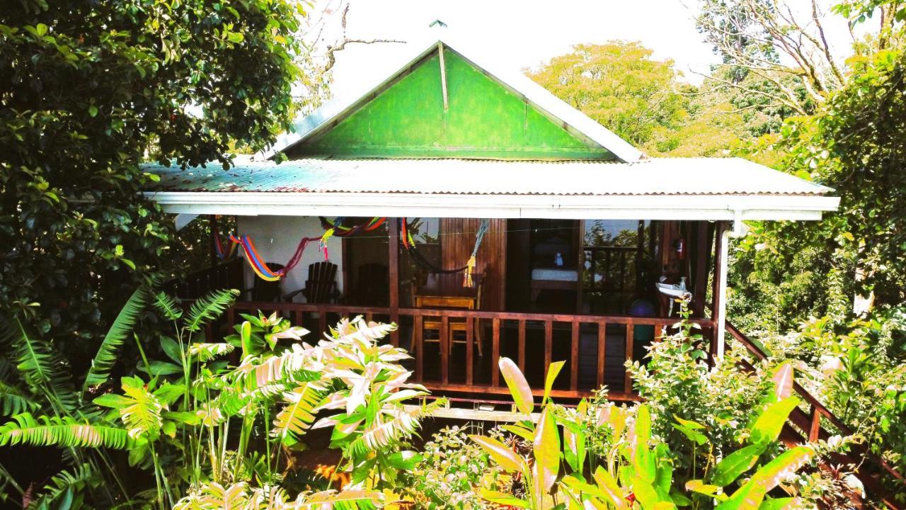 Cabana Ara Macao Lodge Drakes Bay Buitenkant foto