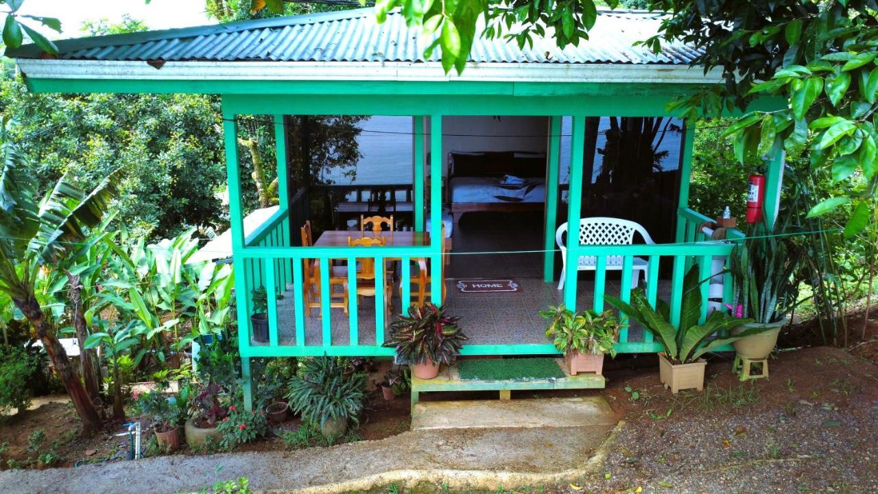 Cabana Ara Macao Lodge Drakes Bay Buitenkant foto