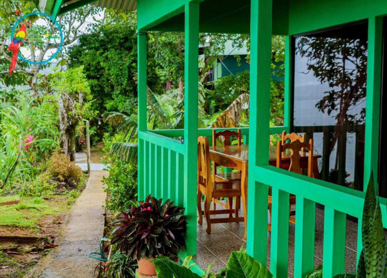 Cabana Ara Macao Lodge Drakes Bay Buitenkant foto